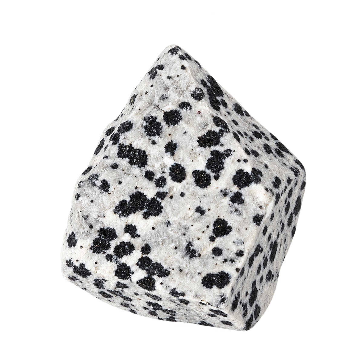 Dalmatian Jasper
