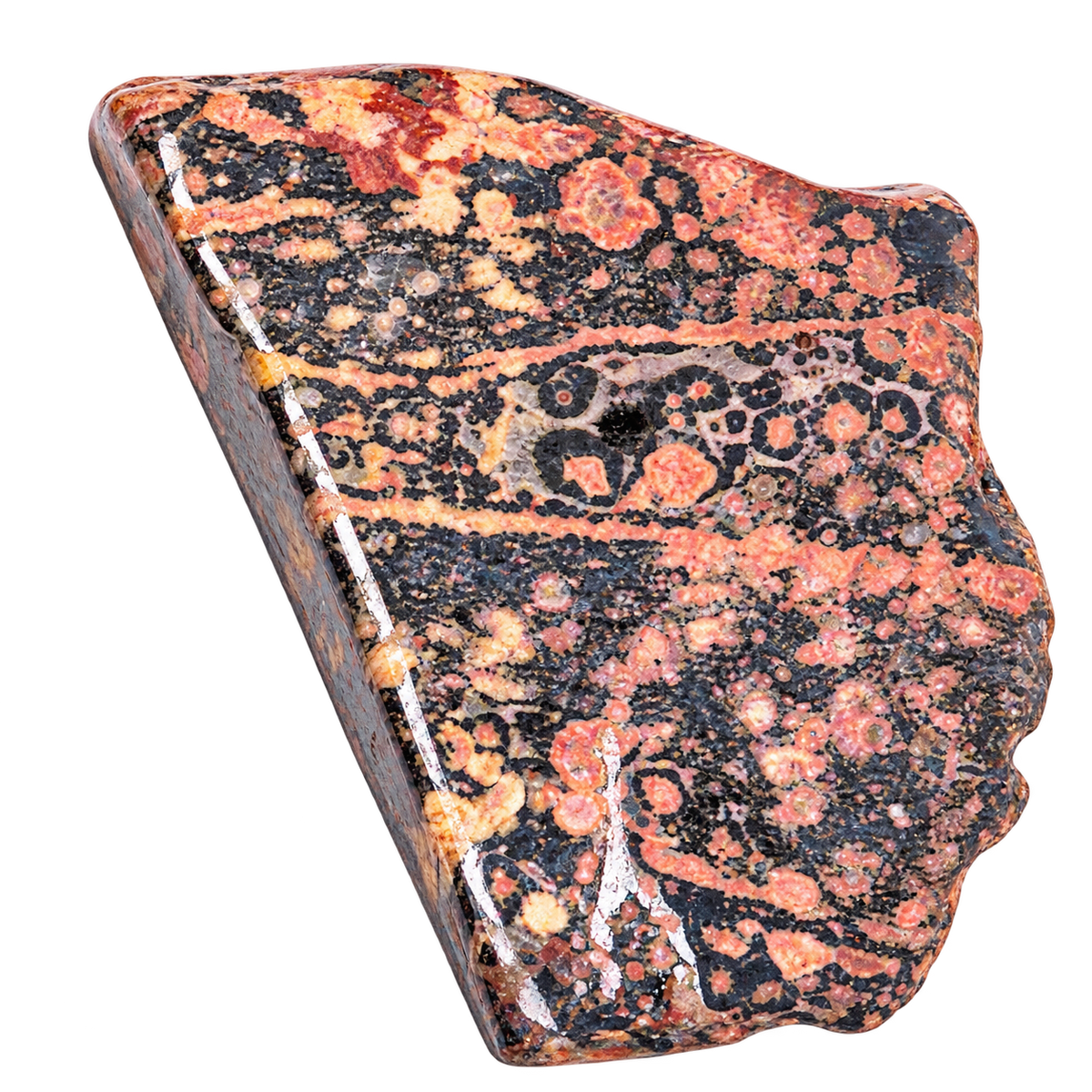 Leopard Skin Jasper