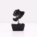 Black Agate Gemstone Tree, Orgonite Base