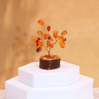 Carnelian Gemstone Tree, Wood Base