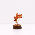 Carnelian Gemstone Tree, Wood Base