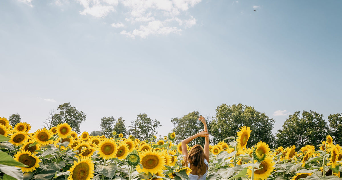 A woman stands in a sunflower field with her arms raised, surrounded by bright yellow sunflowers under a blue sky with white clouds.