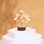 Clear Quartz Gemstone Tree, Wood Base