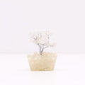 Clear Quartz Gemstone Tree, Orgonite Base