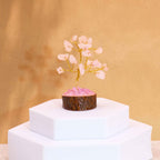 Rose Quartz Gemstone Tree, Wood Base