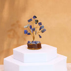 Sodalite Gemstone Tree, Wood Base