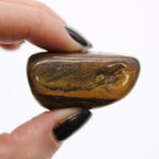 Tiger's Eye Tumbled Stones (Set of 6)